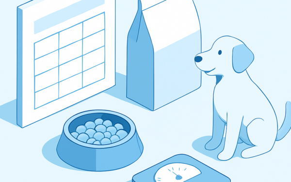 Ilustracao BoraDicas tutorial como calcular quantidade de racao para cachorro