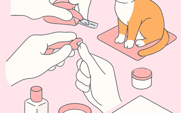 Ilustracao Beleza e Cabelo BoraDicas tutorial