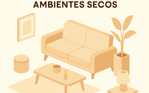 como-evitar-que-o-po-volte-rapido-em-ambientes-secos BoraDicas
